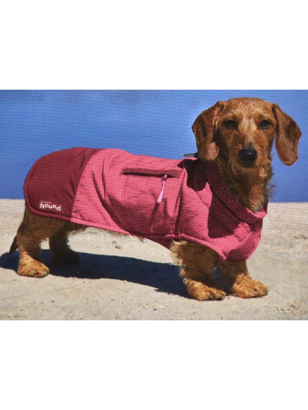 Outward Hound Silverton Pink Weather Proof Coat Size XS w/ Thinsulate Insulation
